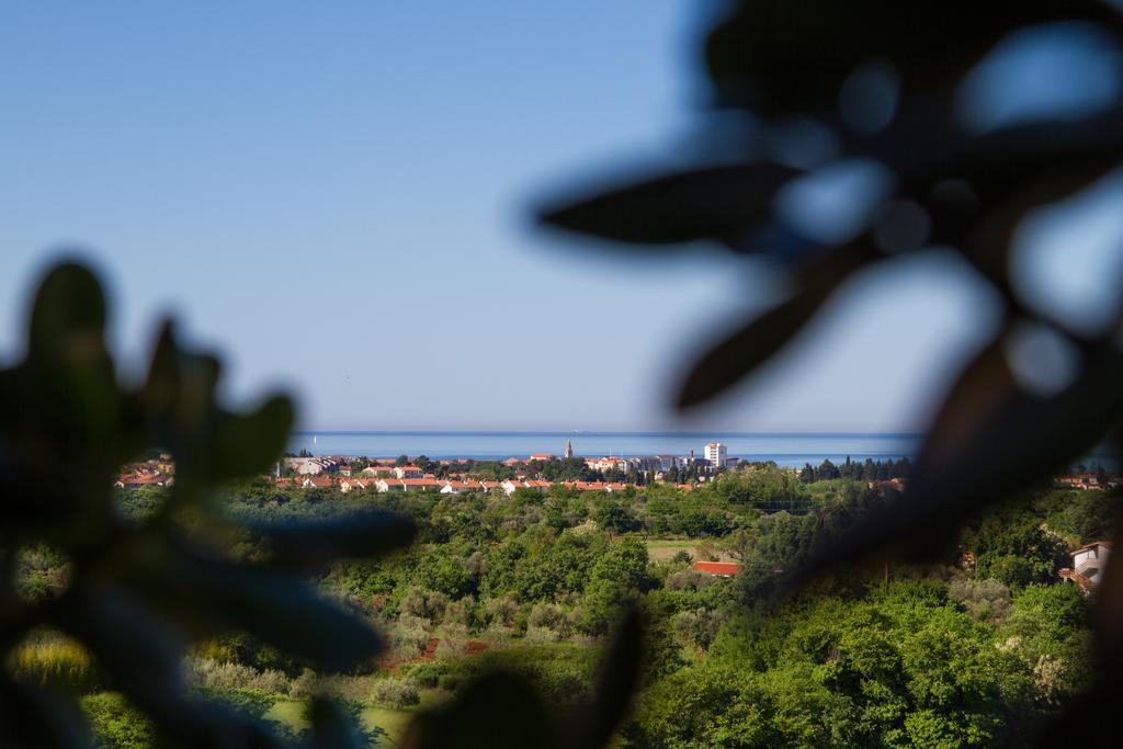 Hotel Arte Casa Murine Стая снимка